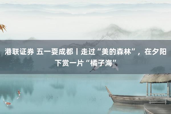 港联证券 五一耍成都丨走过“美的森林”，在夕阳下赏一片“橘子海”