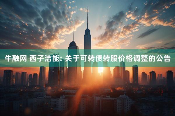 牛融网 西子洁能: 关于可转债转股价格调整的公告