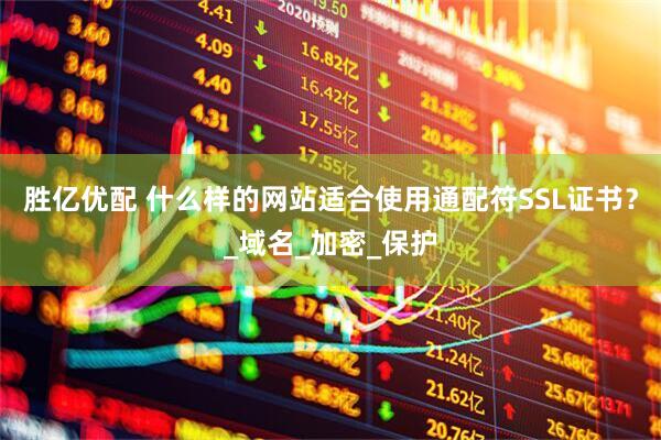 胜亿优配 什么样的网站适合使用通配符SSL证书？_域名_加密_保护