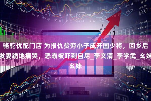 骆驼优配门店 为报仇贫穷小子成开国少将，回乡后发妻跪地痛哭，恶霸被吓到自尽_李文清_李学武_幺妹