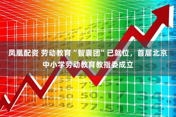凤凰配资 劳动教育“智囊团”已就位，首届北京中小学劳动教育教指委成立