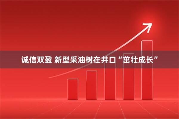 诚信双盈 新型采油树在井口“茁壮成长”
