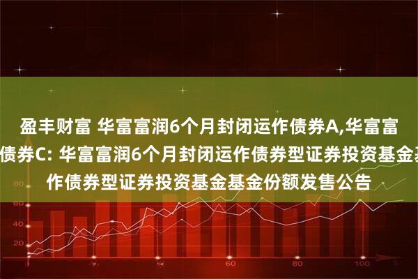 盈丰财富 华富富润6个月封闭运作债券A,华富富润6个月封闭运作债券C: 华富富润6个月封闭运作债券型证券投资基金基金份额发售公告